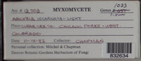 Image Associated With the Occurence